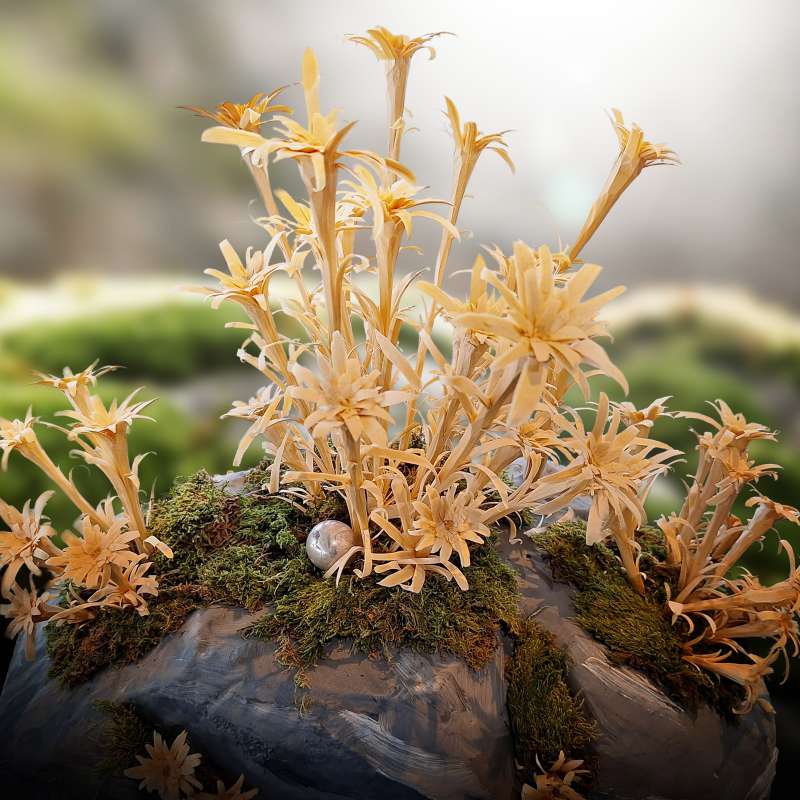 Für Holzfreunde Für Holzfreunde